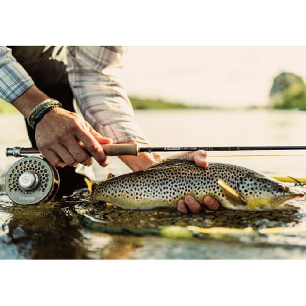 SAGE Z[W  386-4 CLASSIC R8y8ft6in #3 4s[Xz