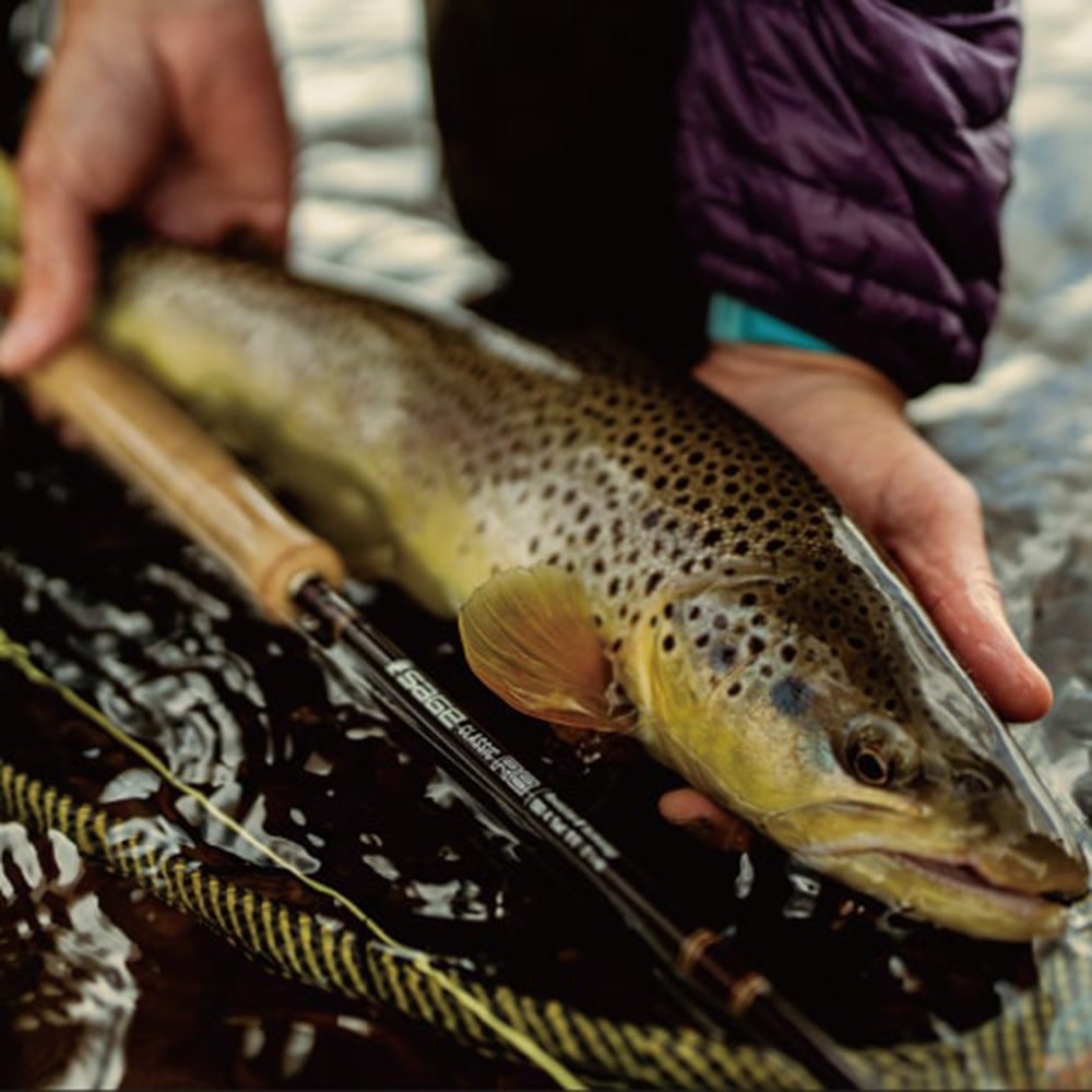 SAGE Z[W  386-4 CLASSIC R8y8ft6in #3 4s[Xz