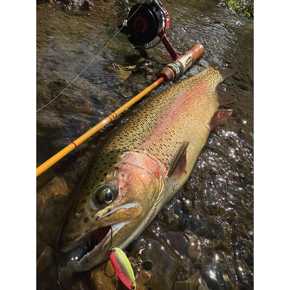 【 10周年記念モデル】 かねは商店 WESSEX スピニング WSE-S/45 【スタッグ+花梨グリップ】