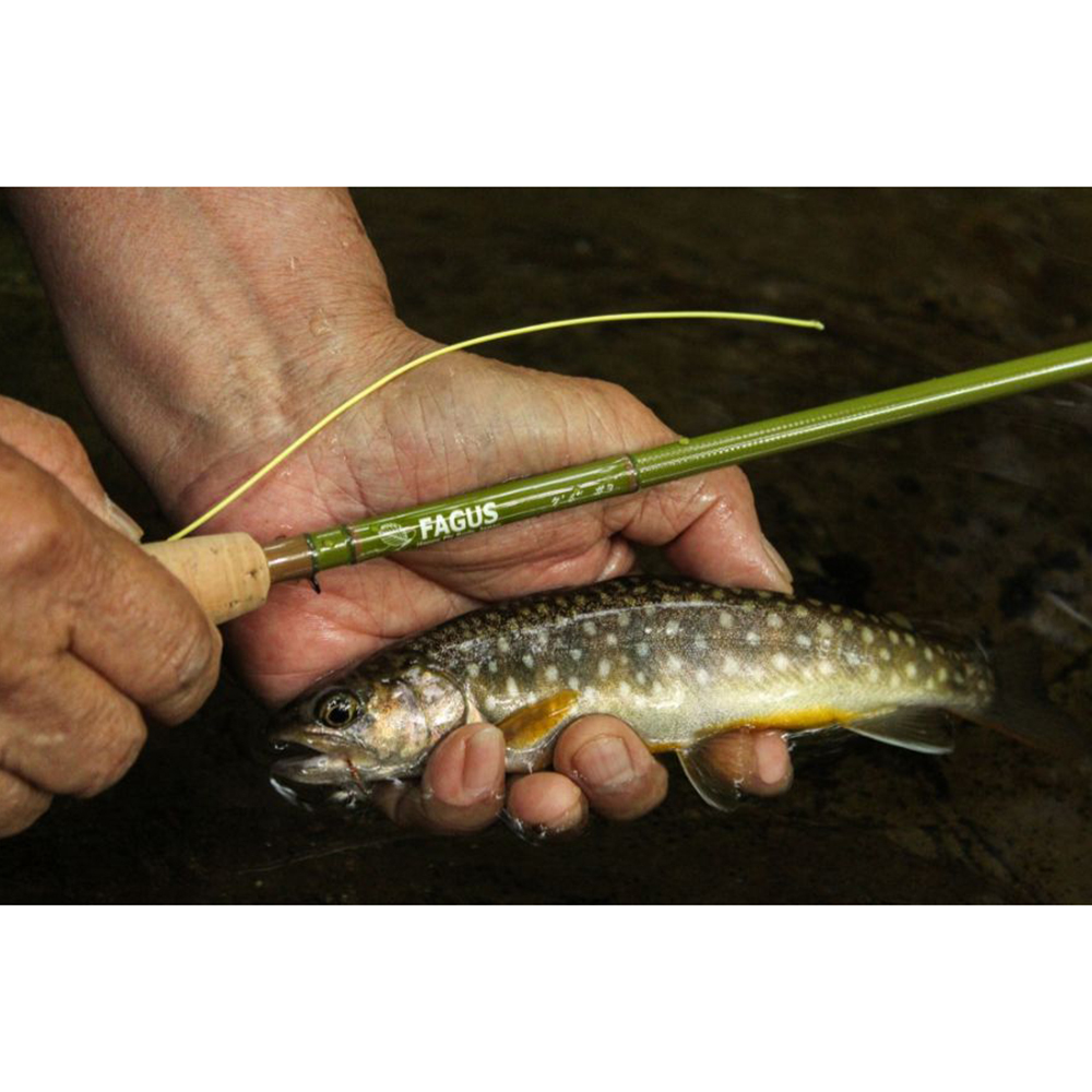 FAGUS �t�@�[�K�X Forest Bum �t�H���X�g�o�� 7ft 00in #3 4�s�[�X�y f-7003FB �z