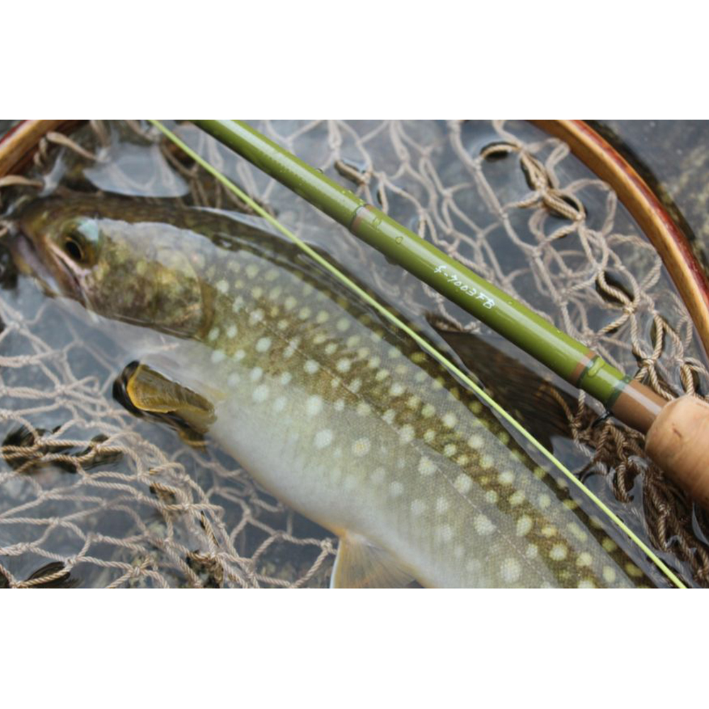 FAGUS �t�@�[�K�X Forest Bum �t�H���X�g�o�� 7ft 00in #3 4�s�[�X�y f-7003FB �z