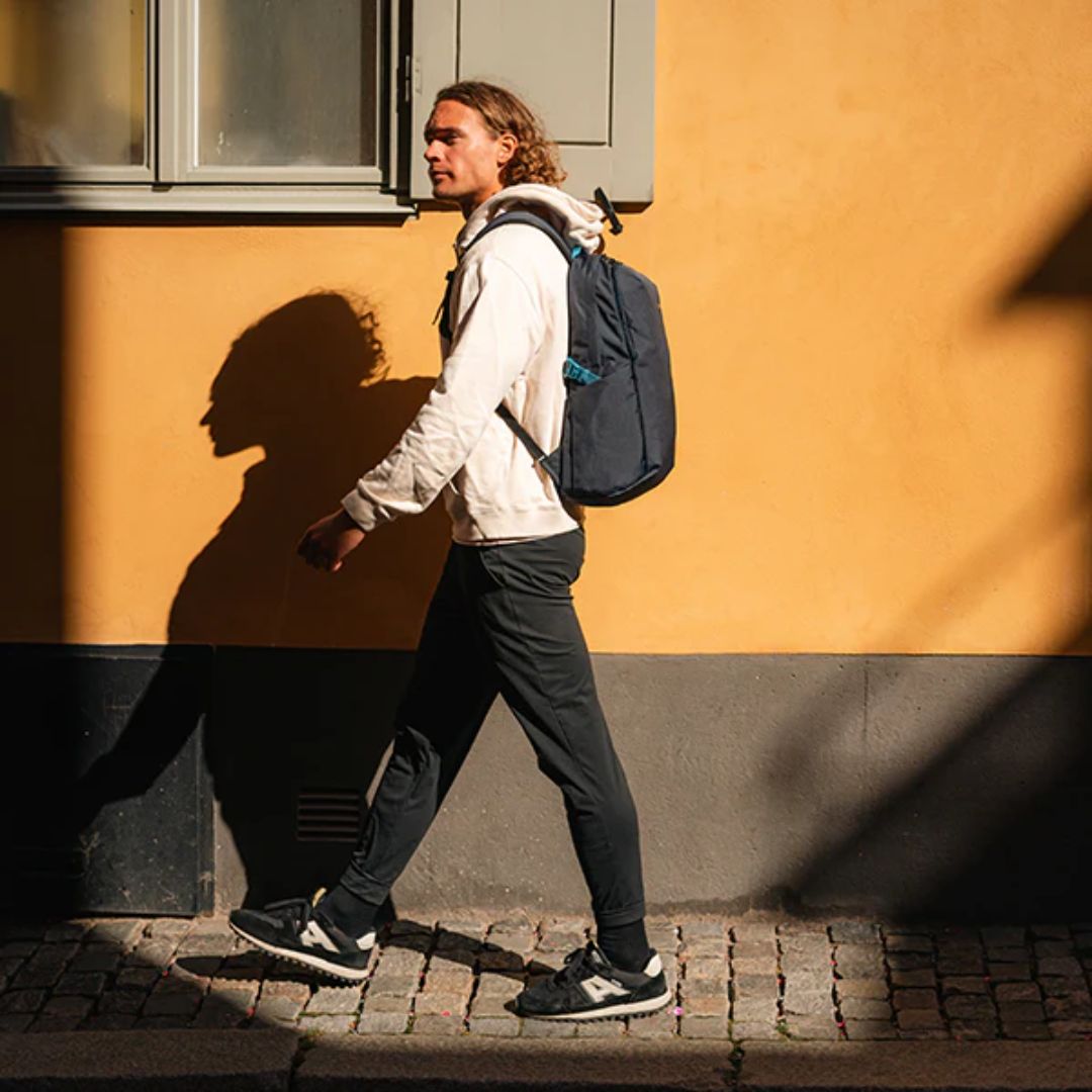 ★ 10%ポイントアップ!〜12/25まで★ PacSafe パックセーフ V24 バックパック