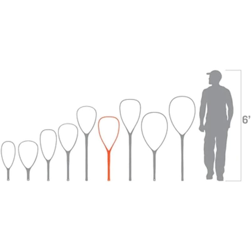 fishpond�@�t�B�b�V���|���h�@�m�}�h�E�G���E�w�t�F�E�l�b�g�@�y�\���e�B���ʁz