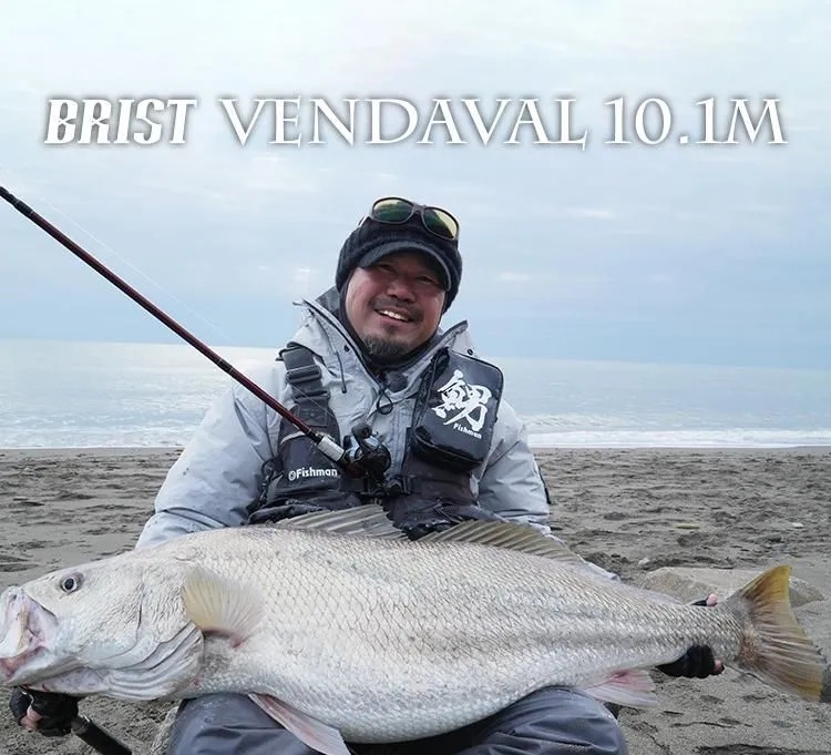 Fishman フィッシュマン BRIST VENDAVAL 10.1M ブリストベンダバール