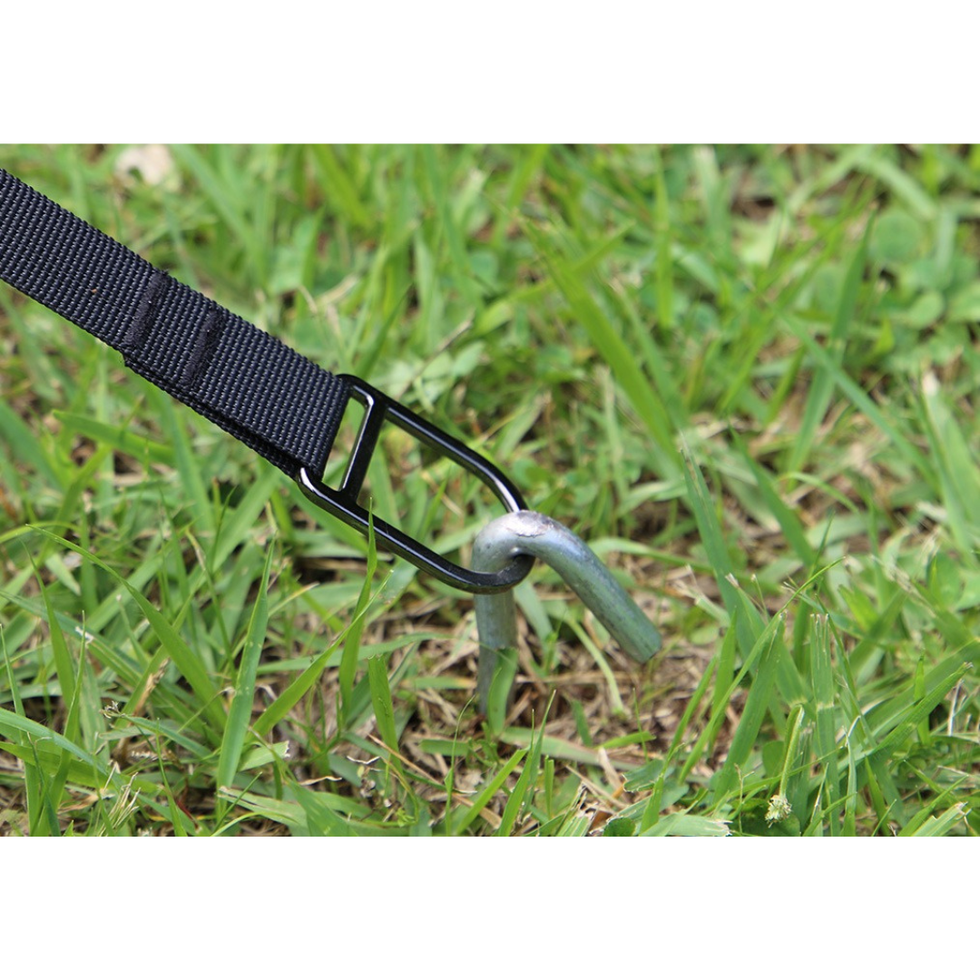 テンマクデザイン タフライン ダブル