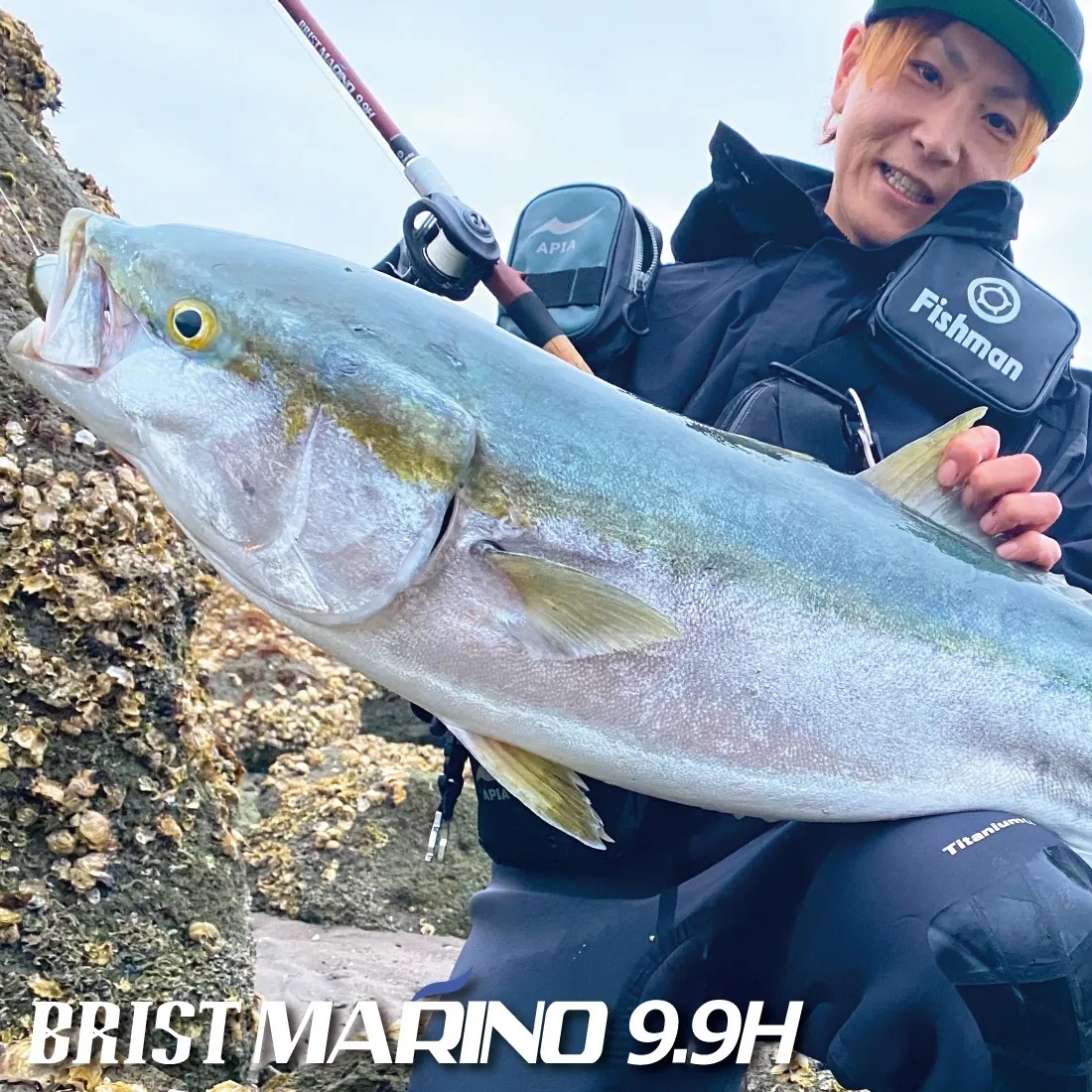 Fishman tBbV} BRIST MARINO9.9H uXg}m