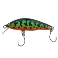 CJg[AhXg[X WooDream Arbor 50S Collabo Color / Lime Country and Streams zbgR[`( HCD )